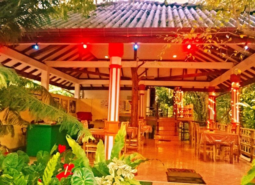 天井 相片