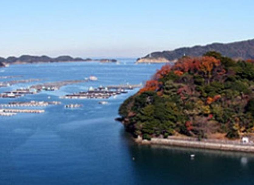 室外景 相片