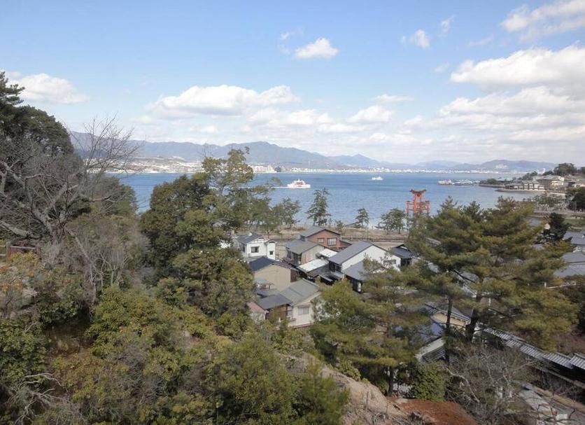 室外景 相片