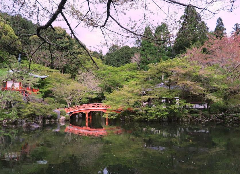 室外景 相片