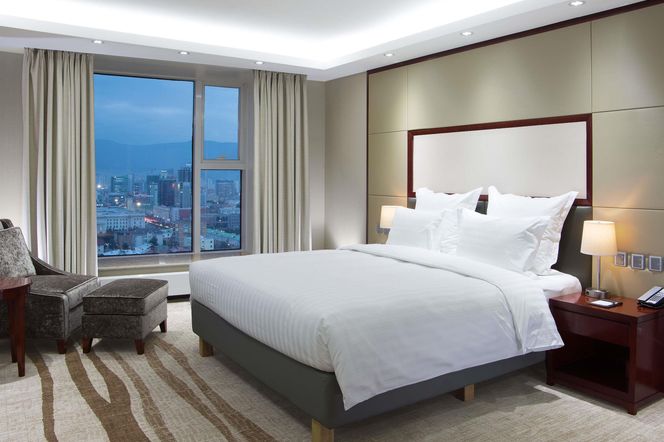 烏蘭巴托托諾富特酒店