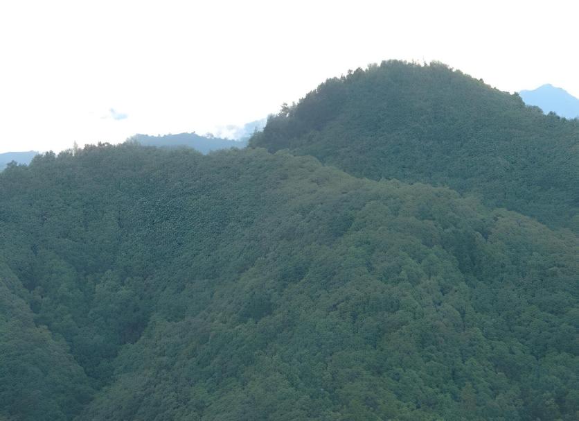 室外景 相片