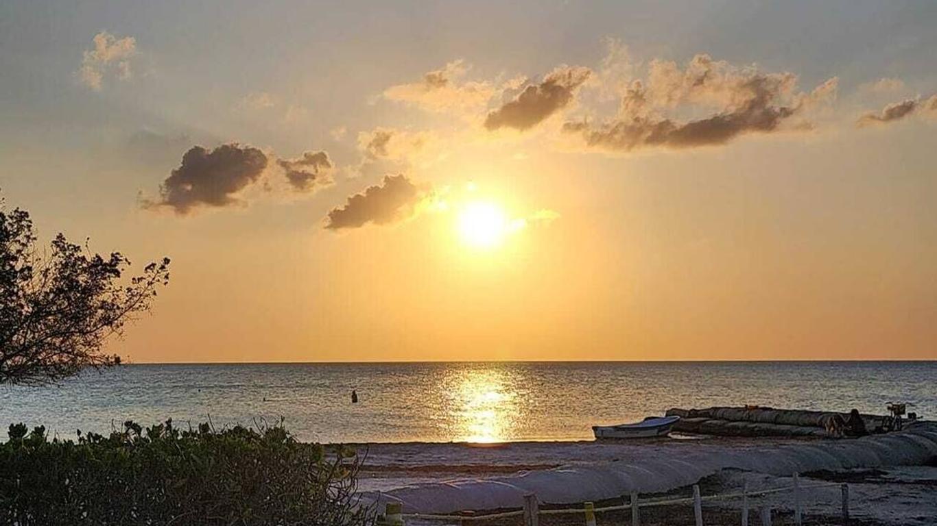 霍爾博克斯港酒店 - Holbox 島