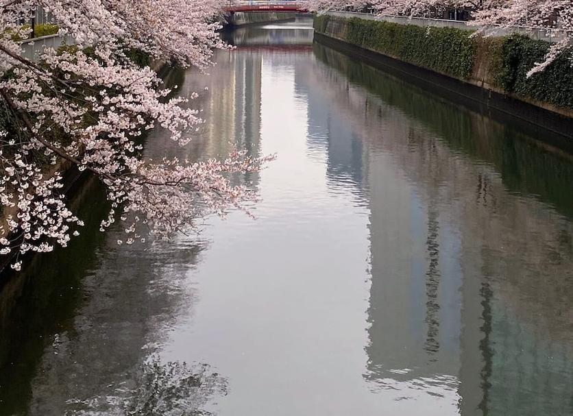 室外景 相片