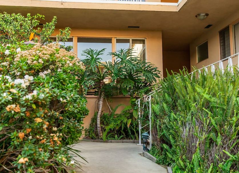 室外景 相片