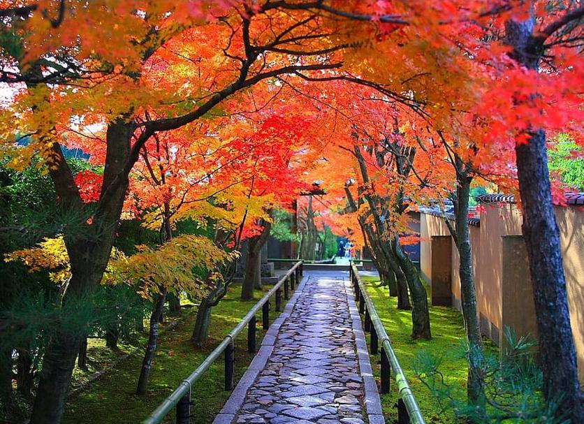 室外景 相片