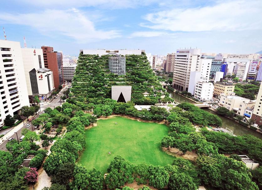 室外景 相片