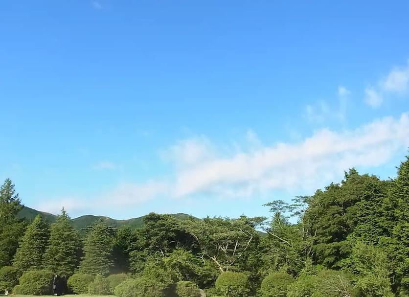 室外景 相片