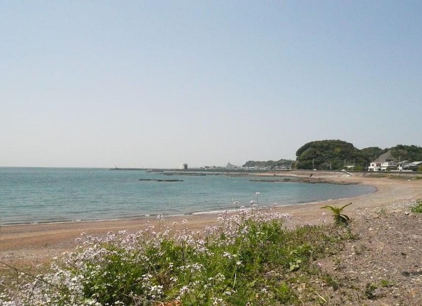海灘 相片