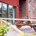 天井