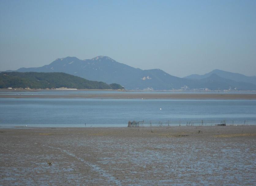 海灘 相片