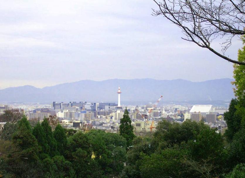 室外景 相片