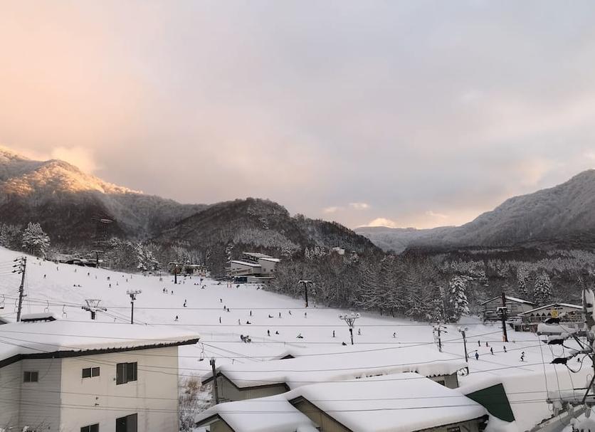 室外景 相片