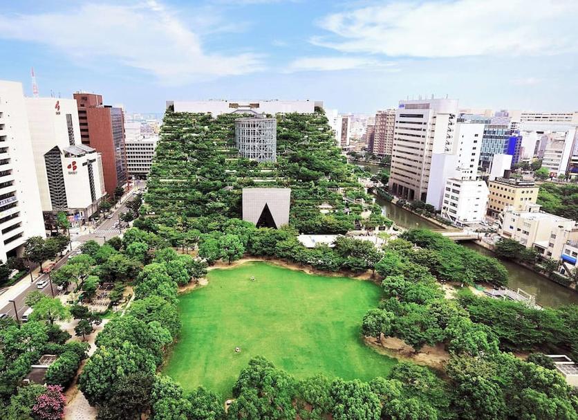 室外景 相片