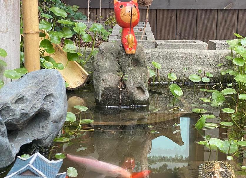 室外景 相片