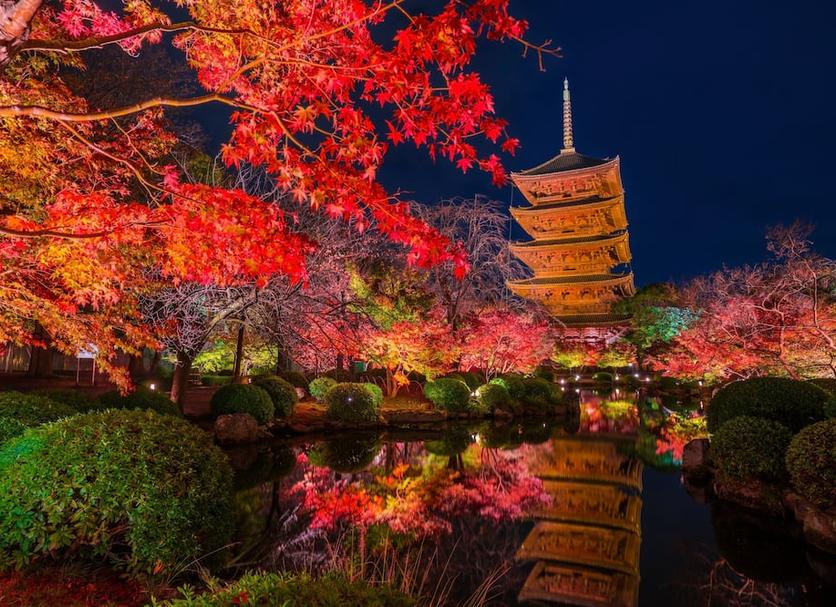室外景 相片