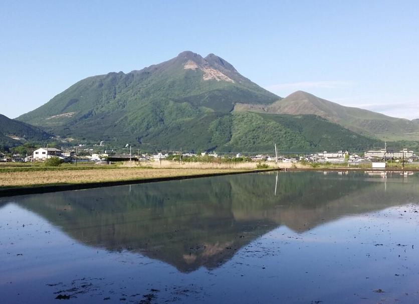 室外景 相片