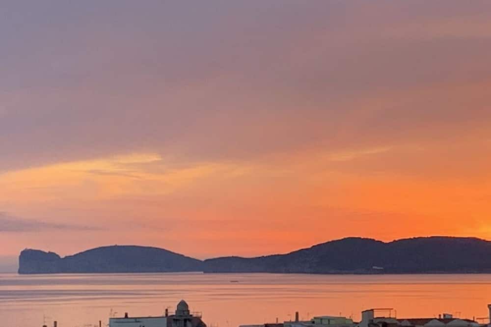 室外景 相片