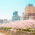 室外景