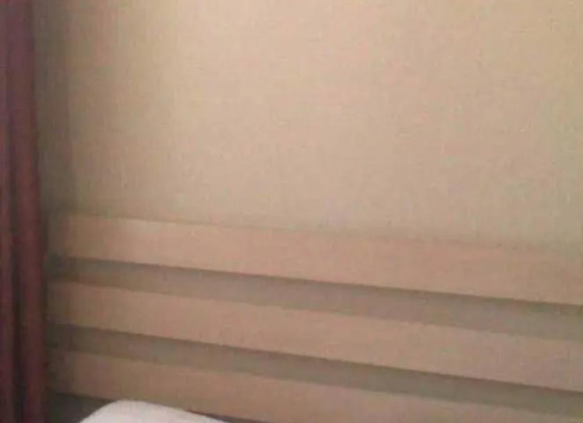 其他 相片