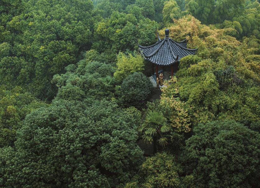建築 相片