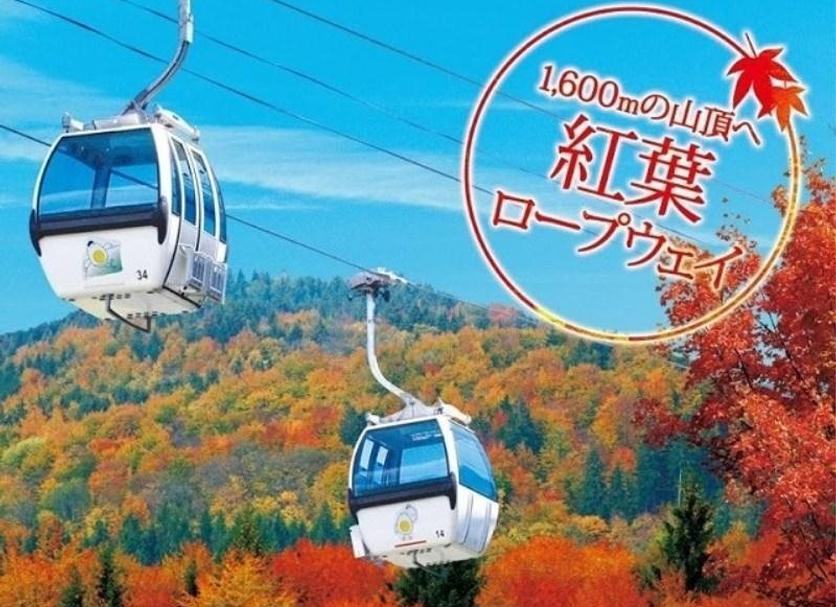 其他 相片