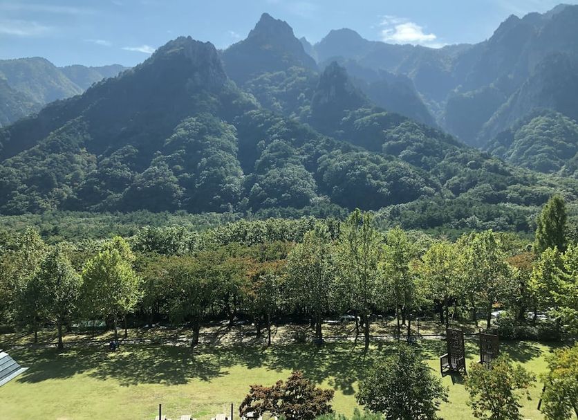 室外景 相片