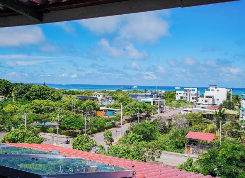 室外景 相片