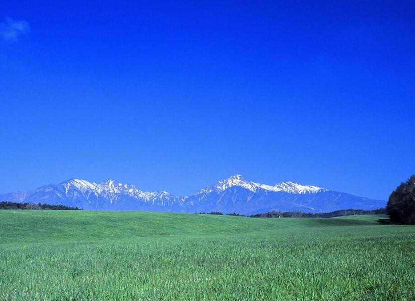 室外景 相片