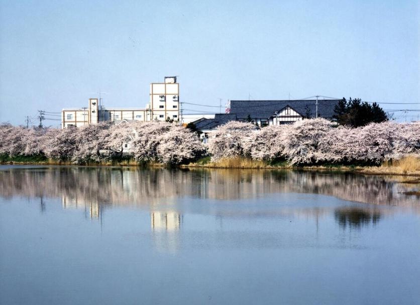 室外景 相片