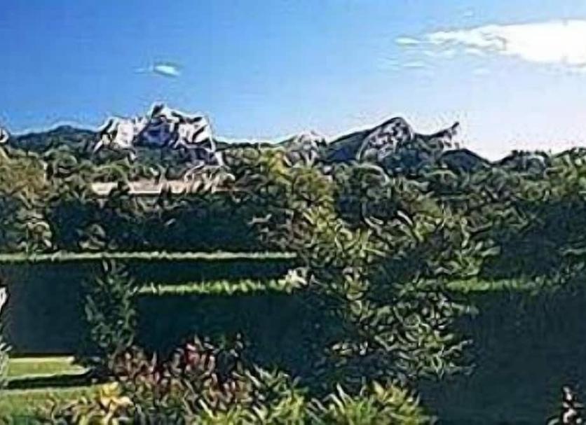 室外景 相片