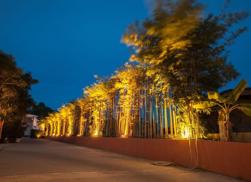 室外景 相片
