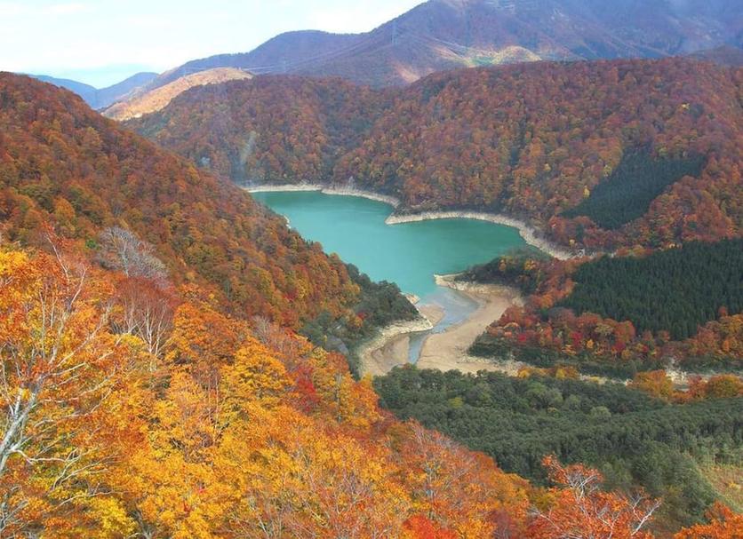 室外景 相片