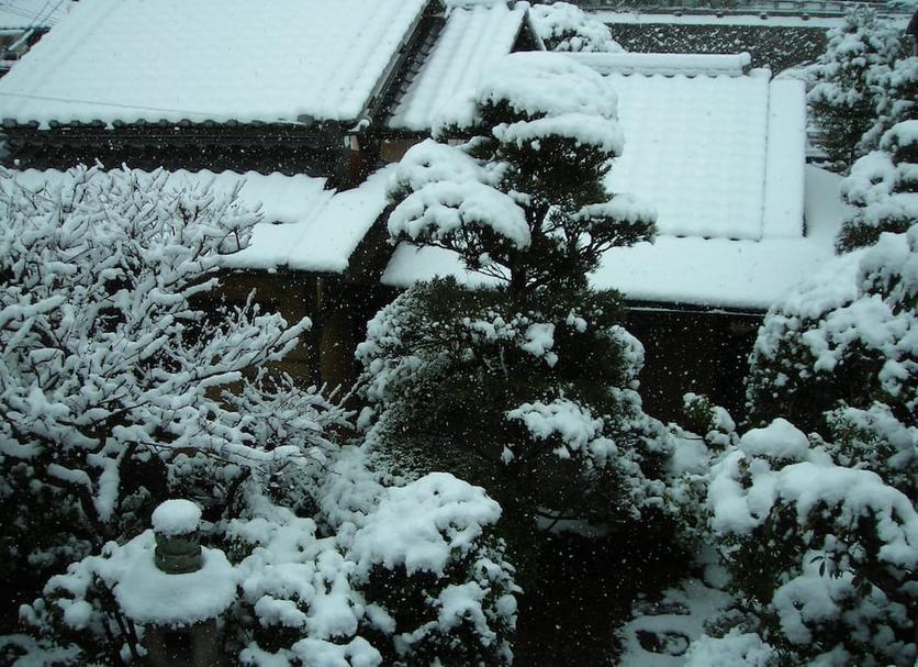 室外景 相片