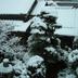 室外景