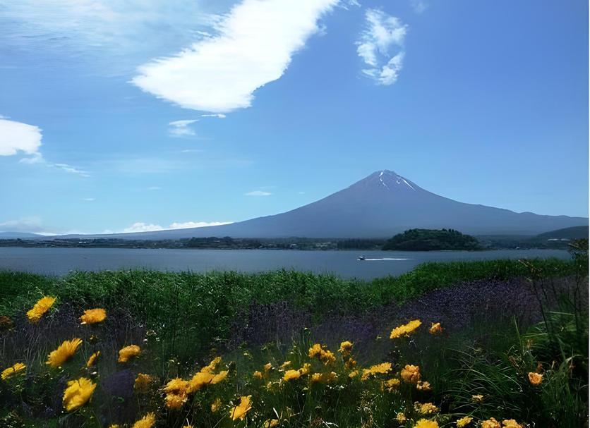 室外景 相片