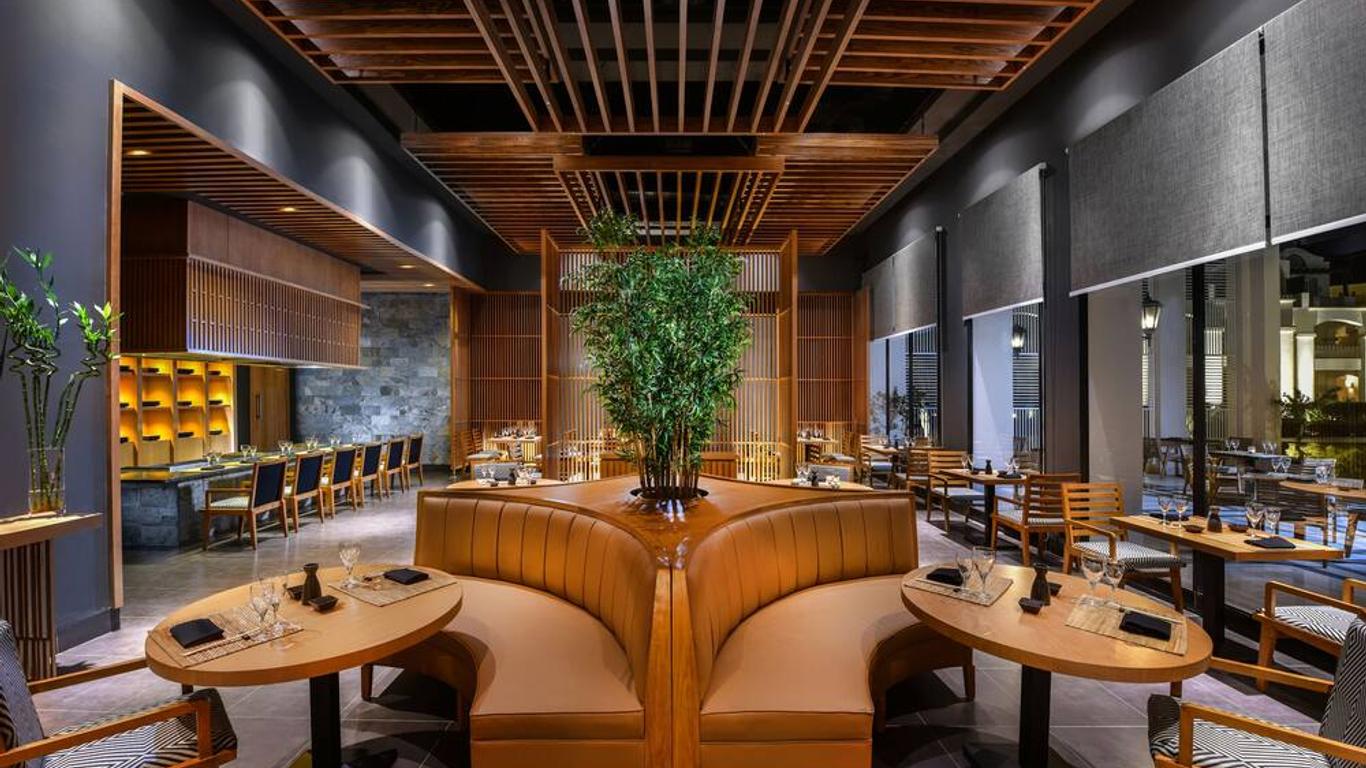 施泰根博閣科拉亞海灘酒店 - 只招待成人入住 - 阿萊姆港