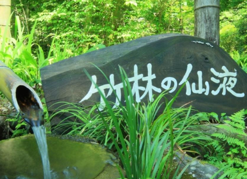 室外景 相片